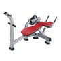 Life Fitness Signature Ab Crunch Bench