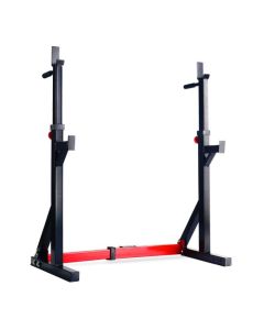 Titanium Strength Squat Rack / Dip Stand 